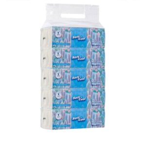 Soft N Cool Facial Tissue Nylon Pack 200 Sheets 2Ply, 5 Boxes